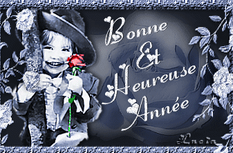 Bonne et heureuse ann�e � tous !!